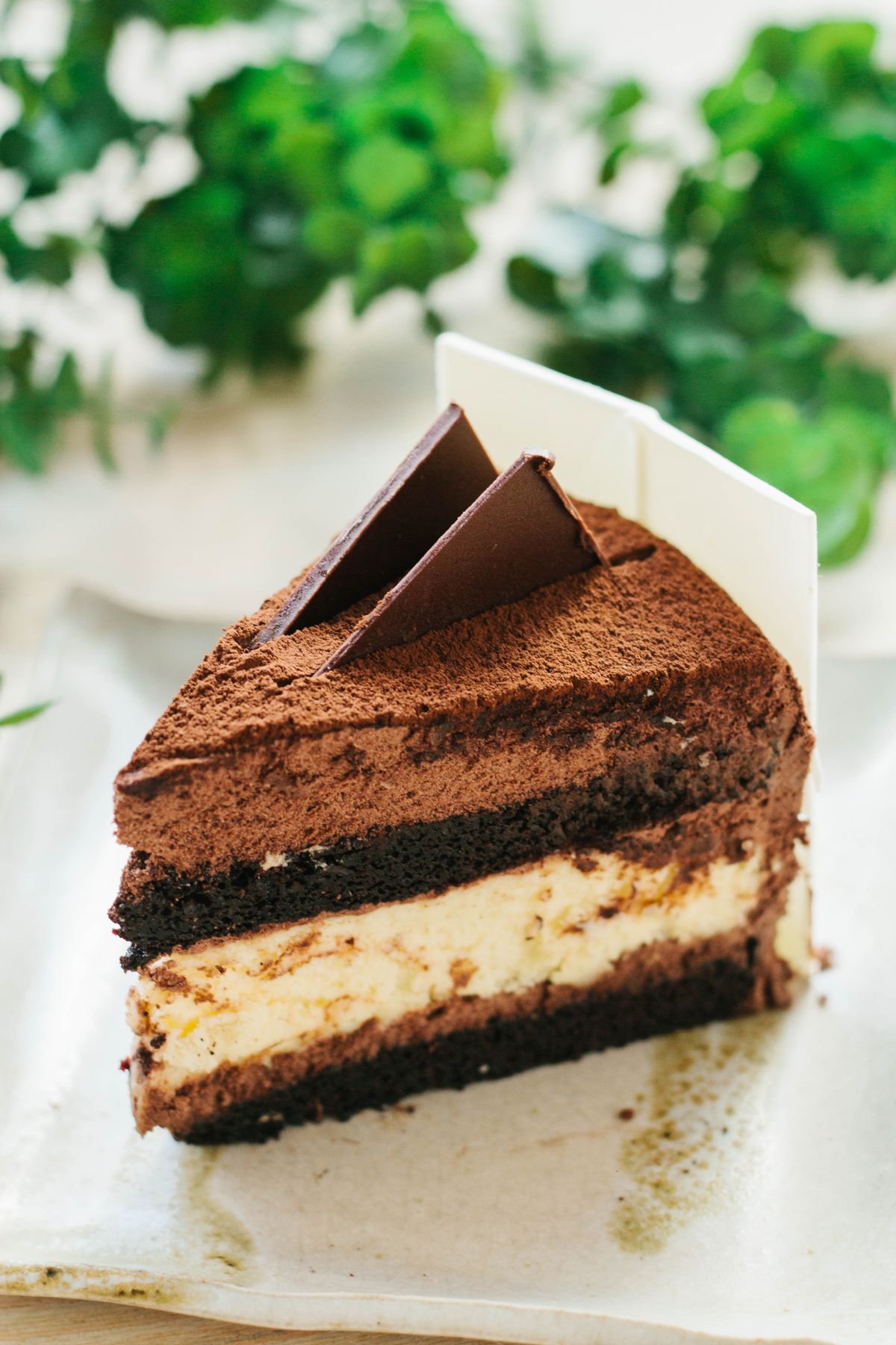 Triangular slice of layered chocolate and cream cake topped with cocoa powder and chocolate shards