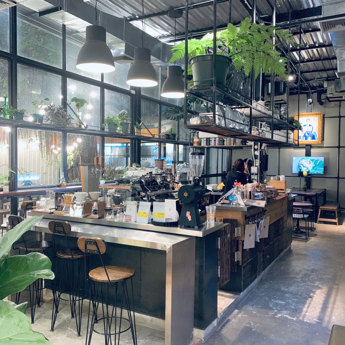 Modern cafe interior with stainless counter, wooden bar stools, pendant lights, and hanging plants