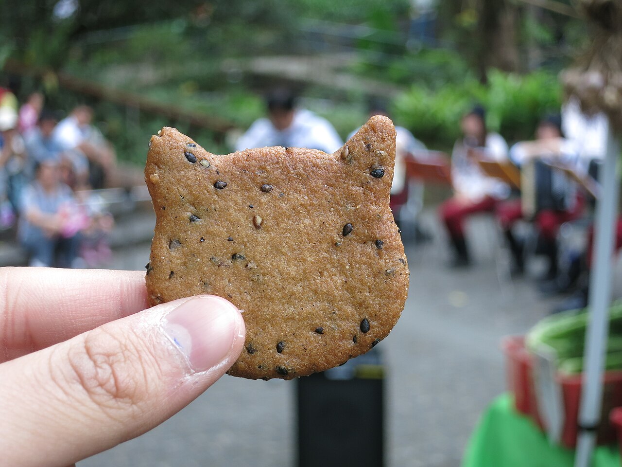 Cat-shaped golden cookie speckled with black sesame seeds held between thumb and fingers