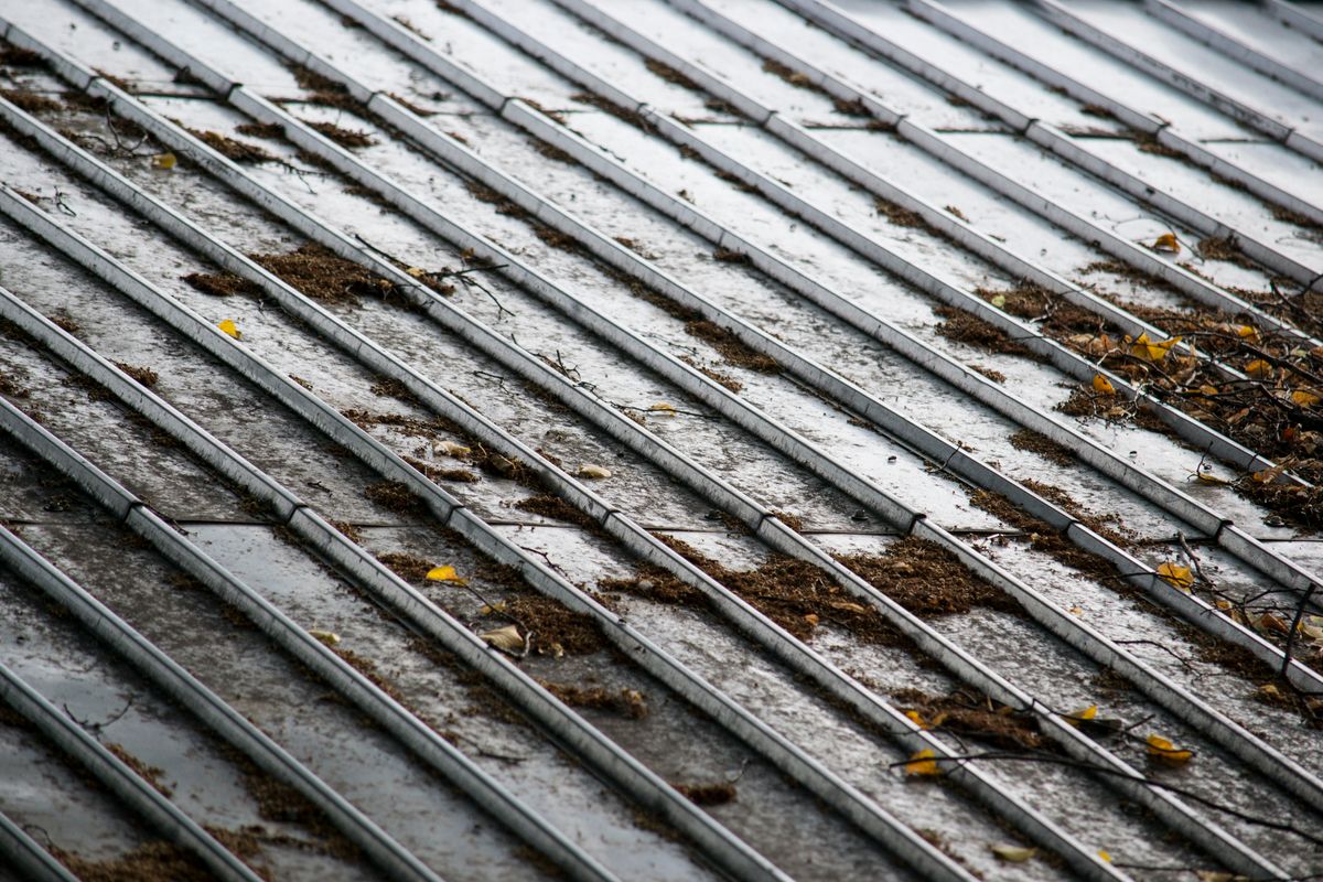 Wet corrugated metal roof with moss, twigs, and small yellow fallen leaves
